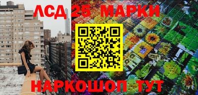 скорость Жуковский